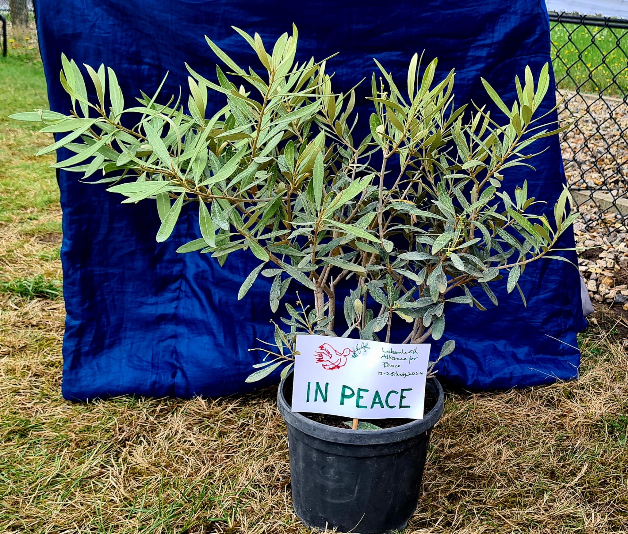 Support Increased day by day at Lakenheath Alliance for Peace Camp and Vigil 13 – 25th July 2024